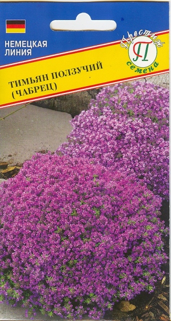 Тимьян ползучий  
