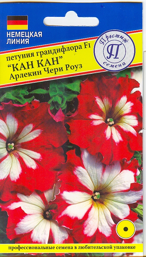 Петуния гранд."Кан Кан" Арлекин Чери Роуз
