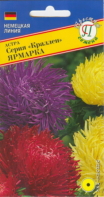 Астра "Краллен"  Смесь Ярмарка