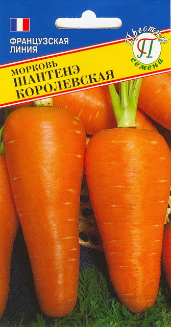 Морковь "Шантенэ Королевская"
