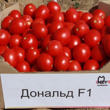 Томат Дональд F1