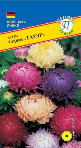 Астра "Тауэр"   Смесь всех цветов  