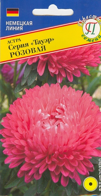 Астра "Тауэр" Розовая 