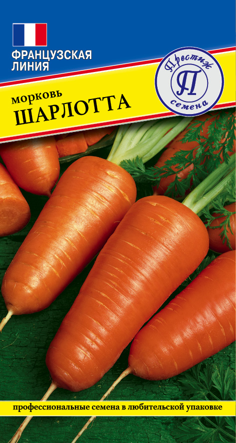 Морковь "Шарлотта"