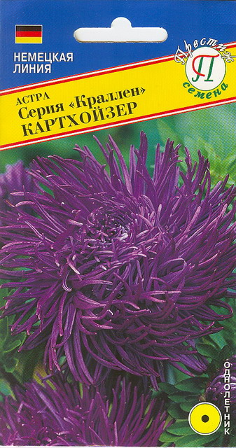 Астра "Краллен" Картхойзер 