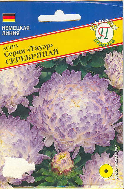 Астра "Тауэр" Серебряная 