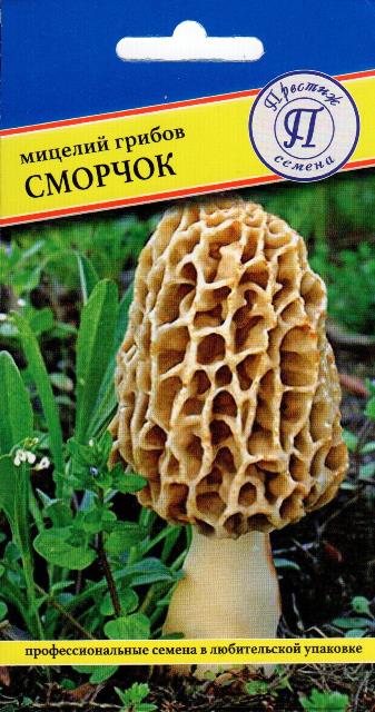 Сморчок