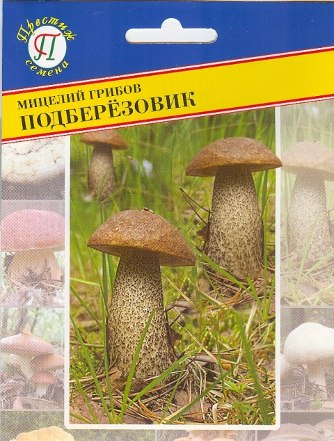 Подберёзовик