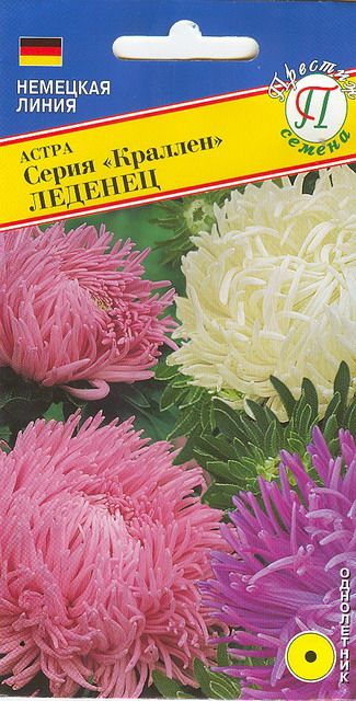 Астра "Краллен"  Смесь Леденец