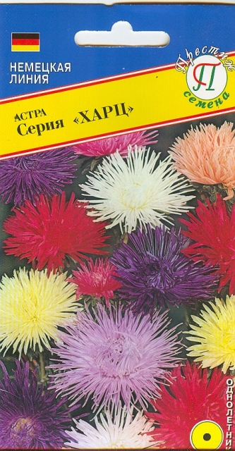 Астра "Харц"   Смесь всех цветов  