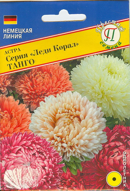 Астра "Леди Корал"  Смесь Танго