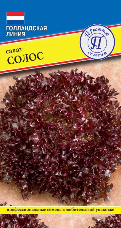 Салат "Солос"