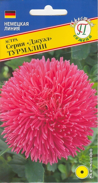 Астра "Джуэл" Турмалин 