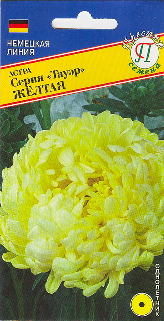 Астра "Тауэр" Жёлтая