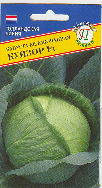 Капуста б/к "Куизор F1"    