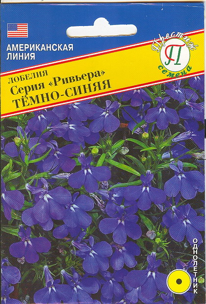 Лобелия куст."Ривьера" Тёмно-синяя