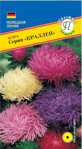 Астра "Краллен"  Смесь всех цветов
