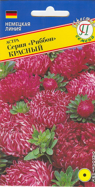 Астра "Риббон" Краный    