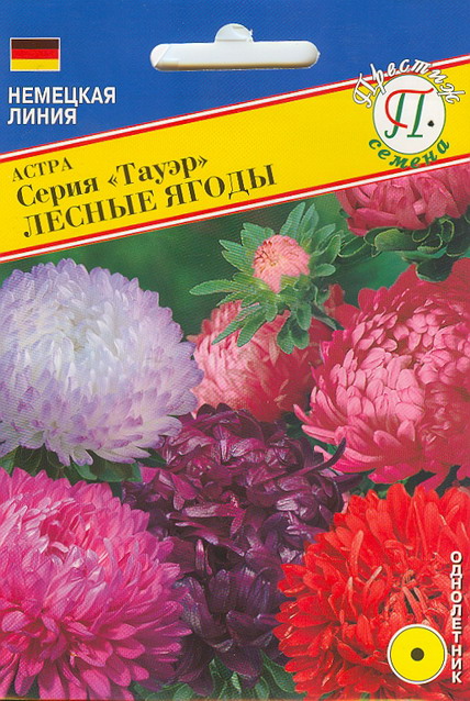 Астра "Тауэр"  Смесь Лесные ягоды