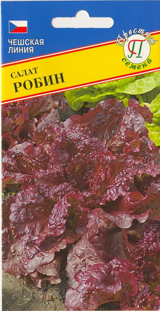 Салат "Робин"
