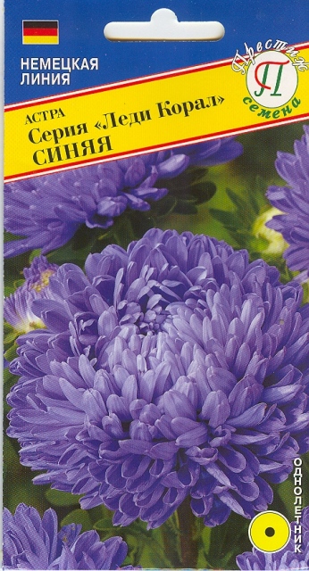Астра "Леди Корал" Синяя